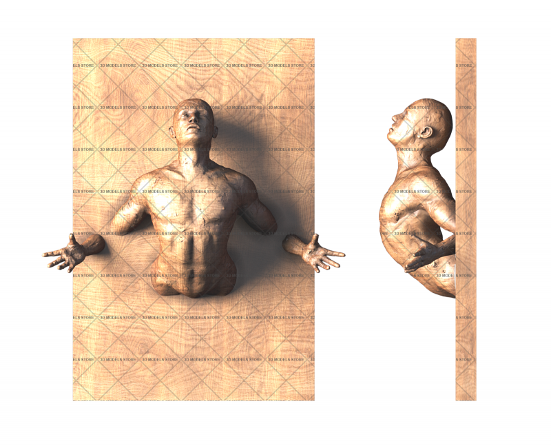 Human, 3d models (stl)