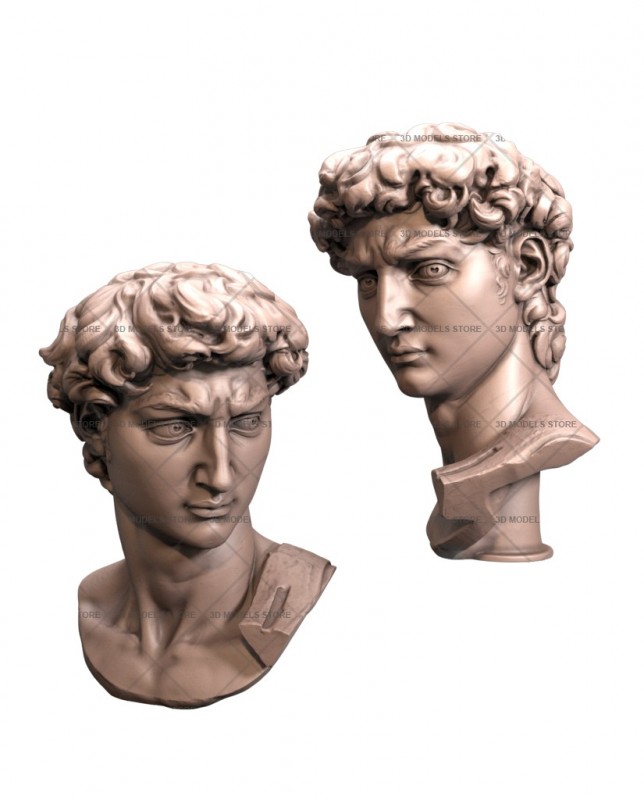 Head of david, 3d models (stl)