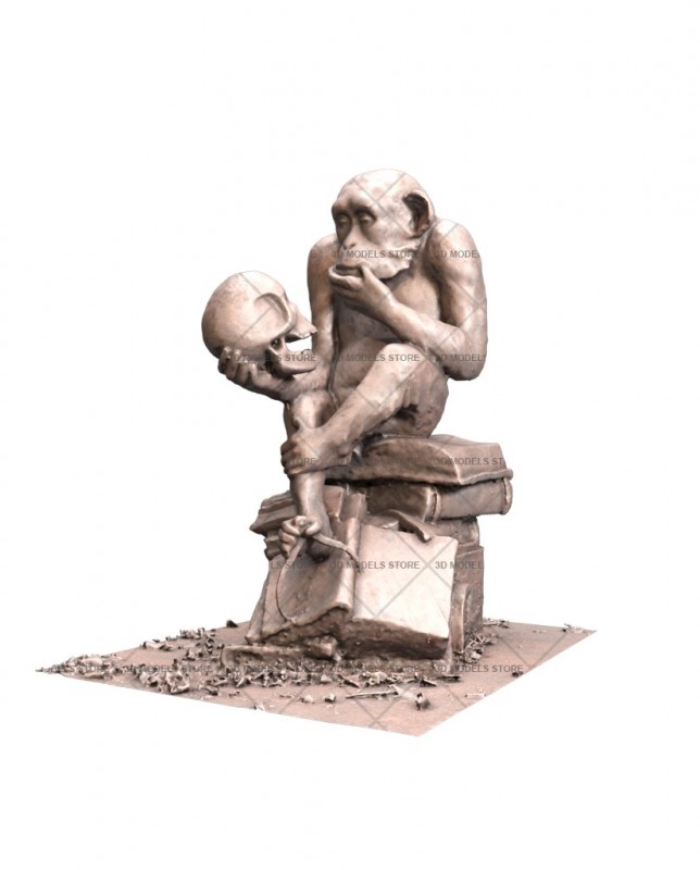 Monkey and skull, 3d models (stl)