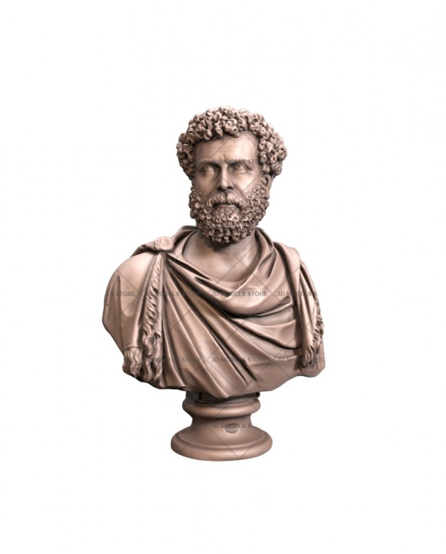 Bust of a man, 3d models (stl)