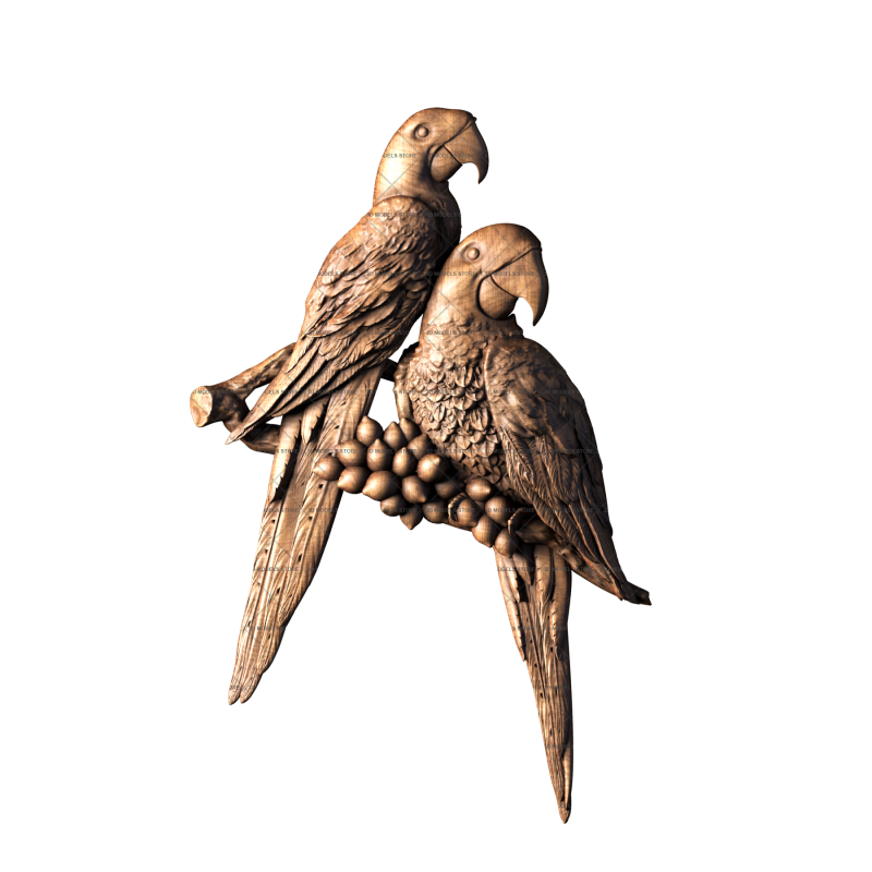 Parrots, 3d models (stl)