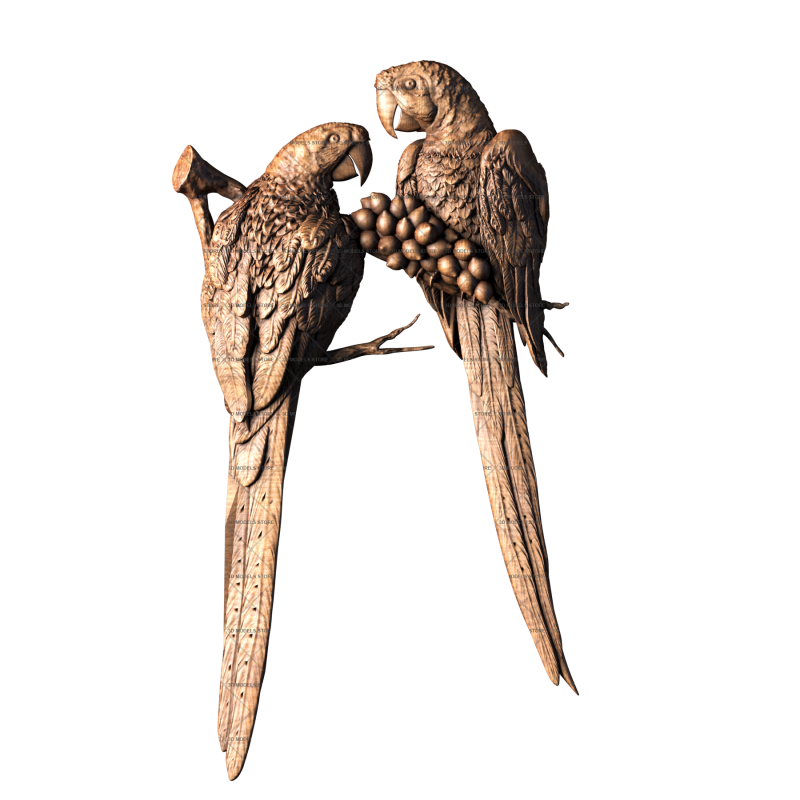 Macaw parrot, 3d models (stl)